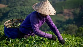 Capture the authentic charm of Vietnam’s cultural scene